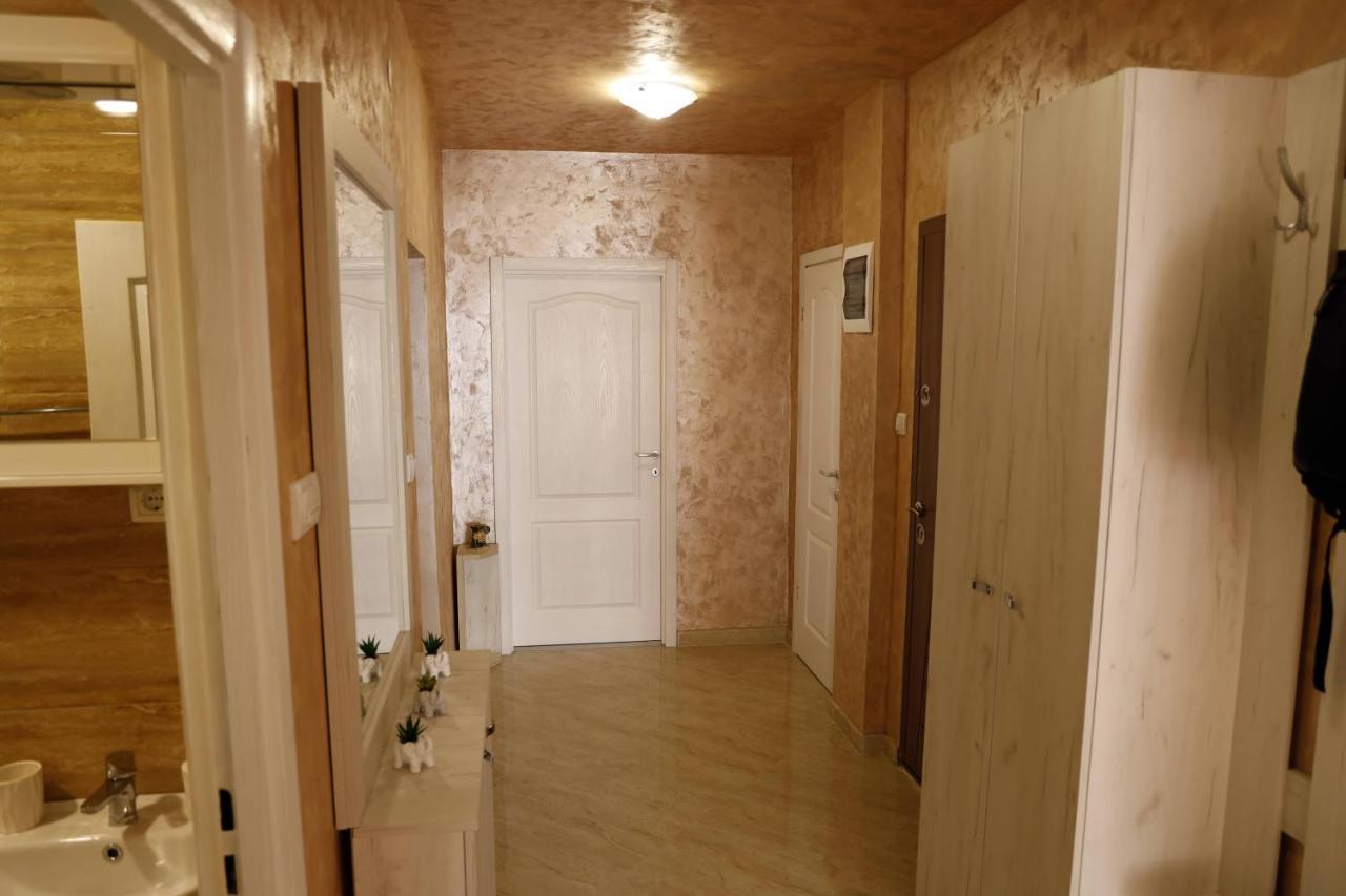 Apartment Alexandar Podgoriţa Exterior foto