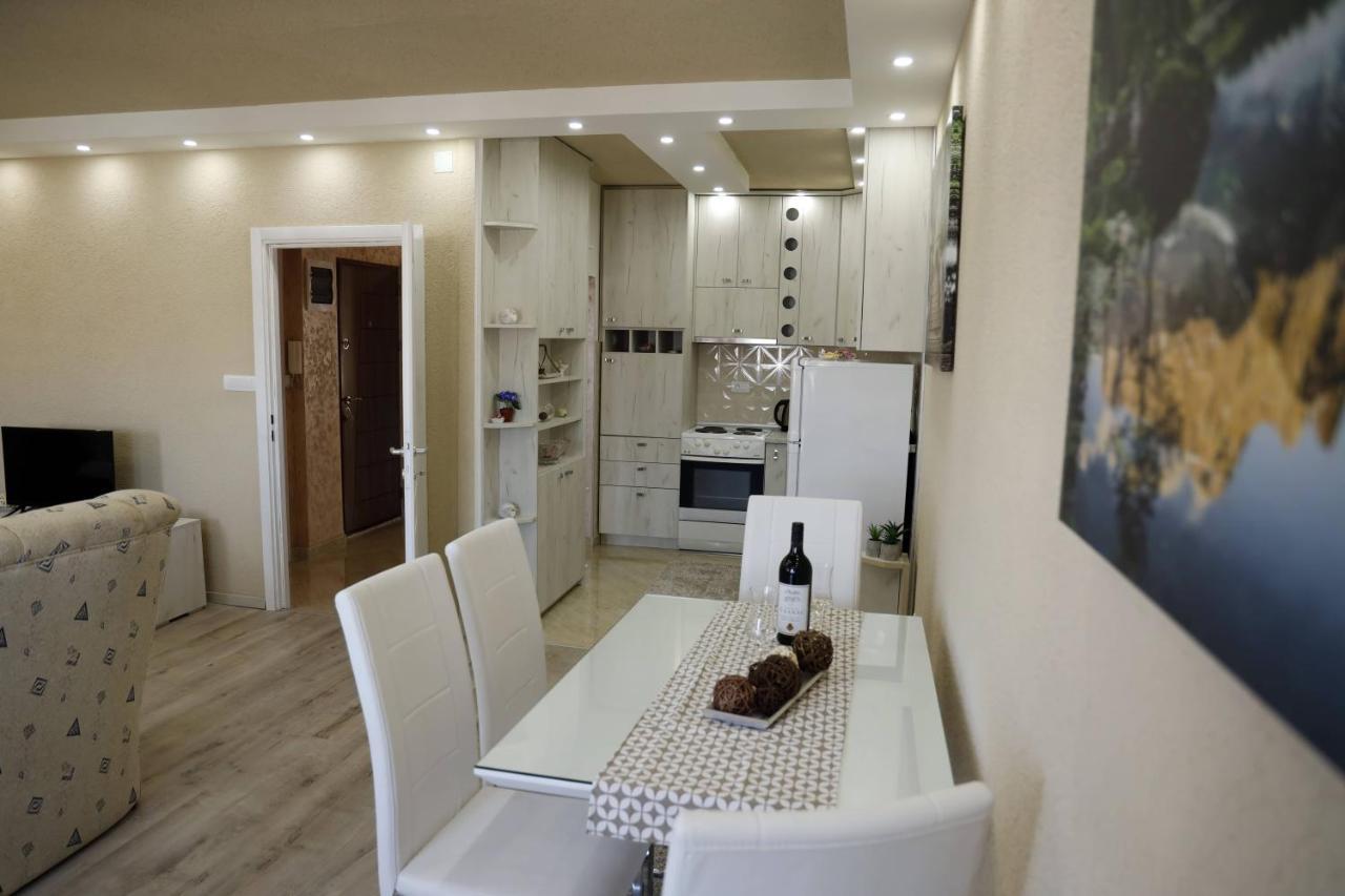 Apartment Alexandar Podgoriţa Exterior foto