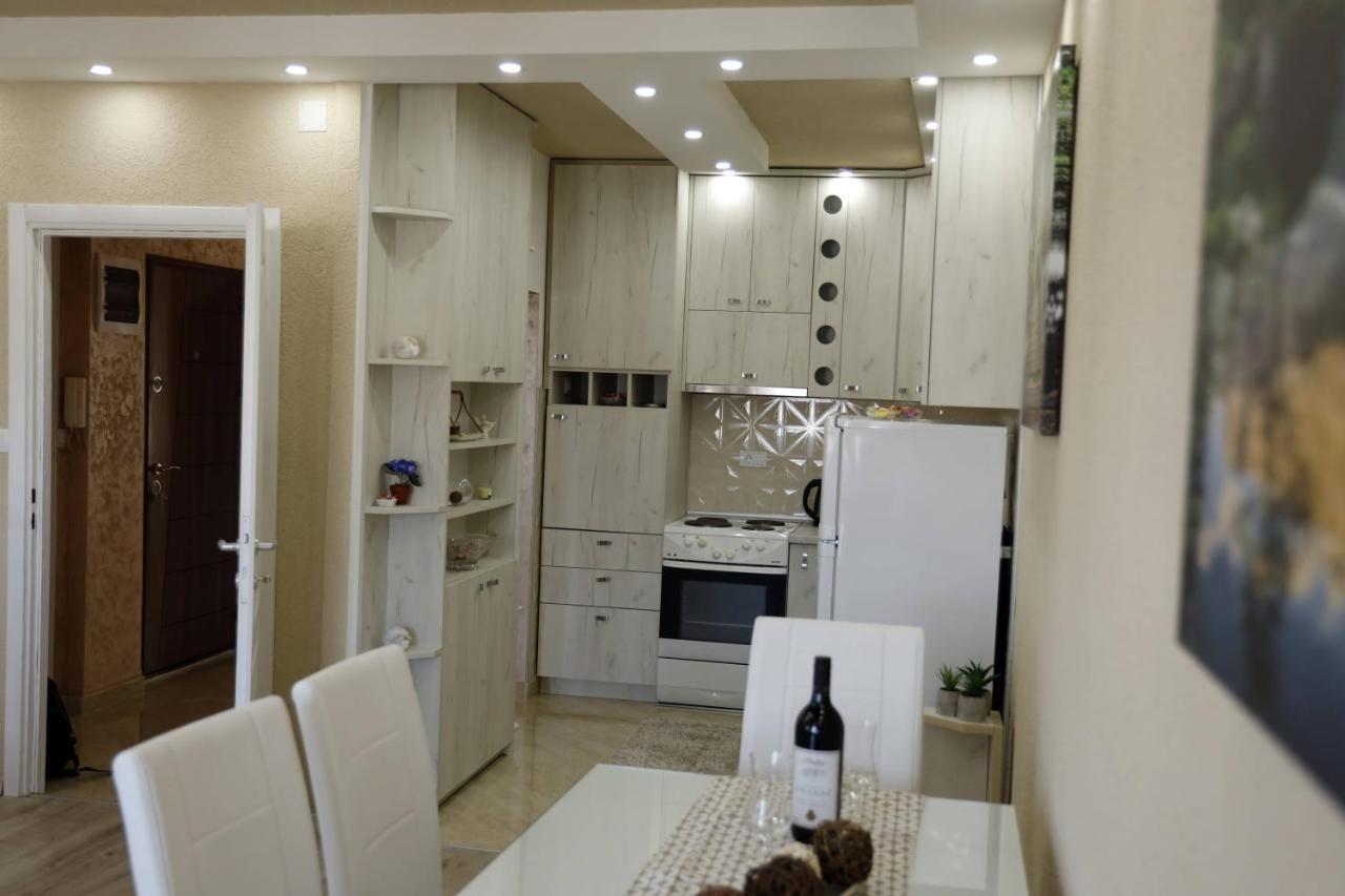Apartment Alexandar Podgoriţa Exterior foto